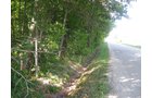 Property photo 8 - 40 Acres Offered in 3 Tracts